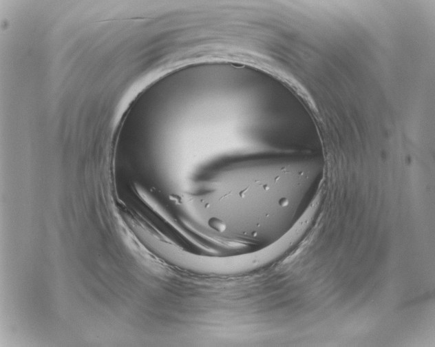 X0000070211530200606161629