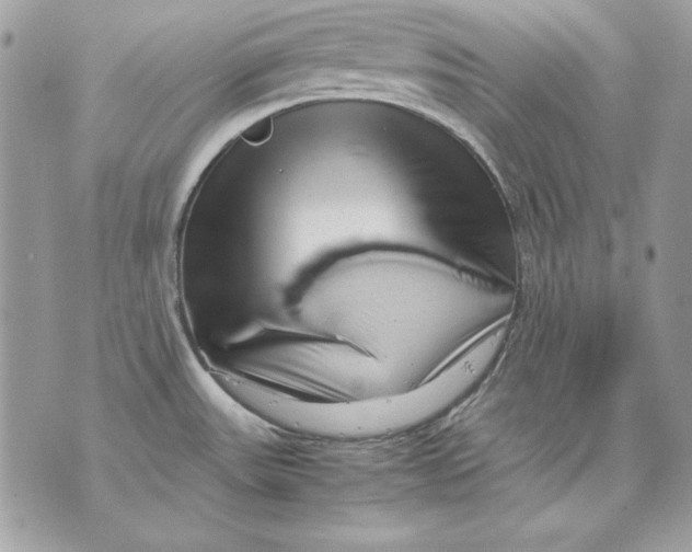 X0000070211531200606161629