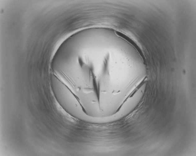 X0000070211532200606161629