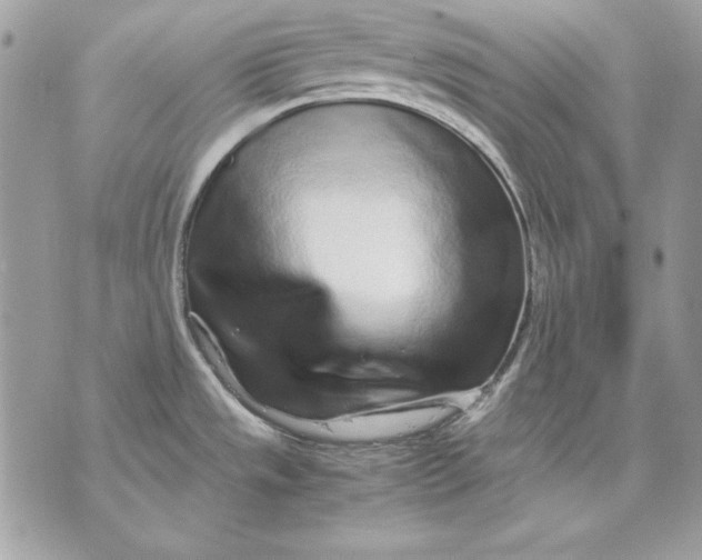 X0000070211533200606161629