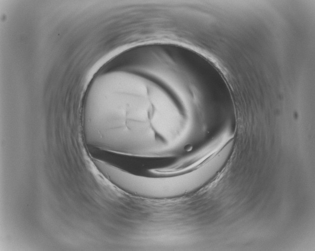 X0000070211534200606161629