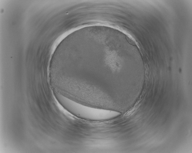 X0000070211535200606161629