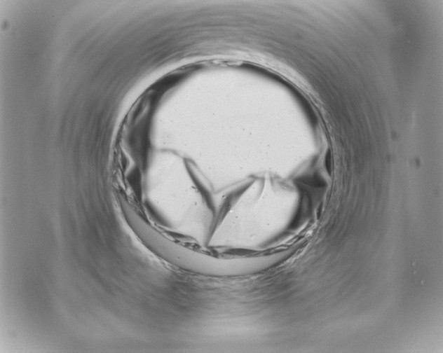 X0000070211536200606161629