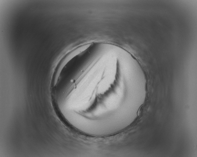 X0000070210007200606232116