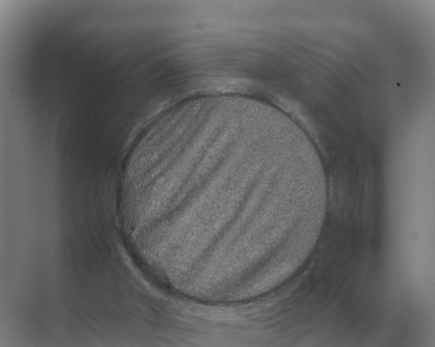 X0000070210010200606232116