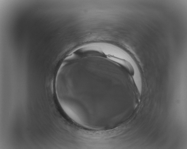 X0000070210019200606232116
