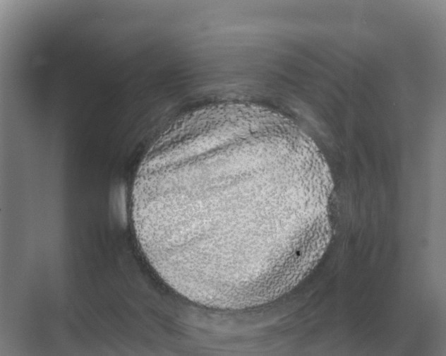 X0000070210022200606232116
