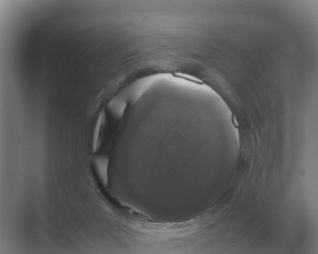 X0000070210023200606232116