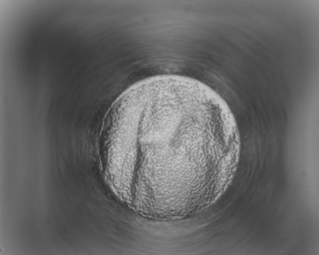 X0000070210030200606232116
