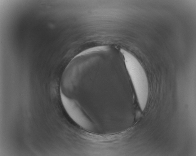 X0000070210035200606232116
