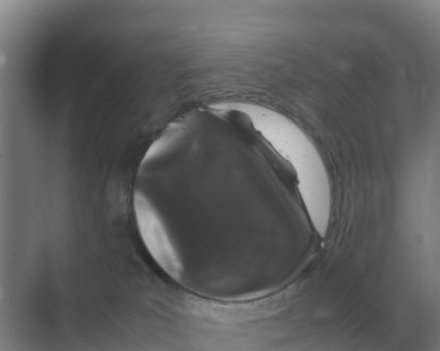 X0000070210039200606232116