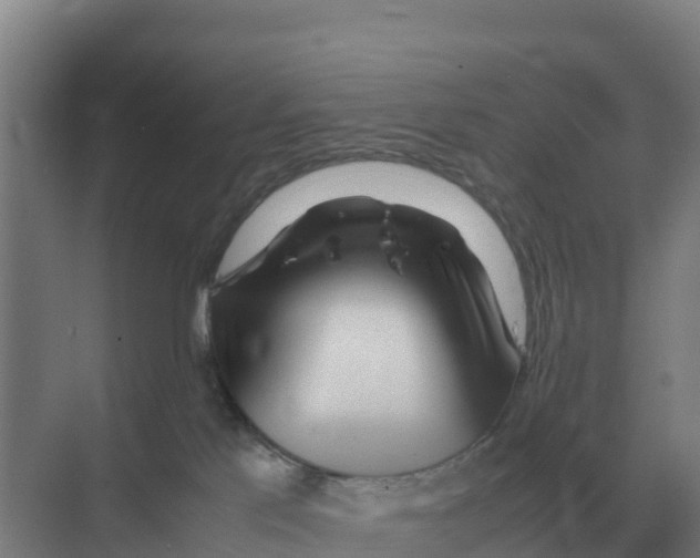 X0000070210041200606232116