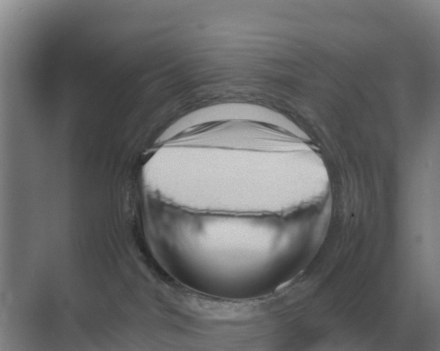 X0000070210044200606232116