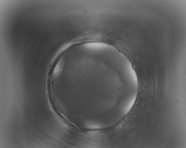 X0000070210054200606232115