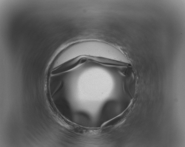 X0000070210056200606232115