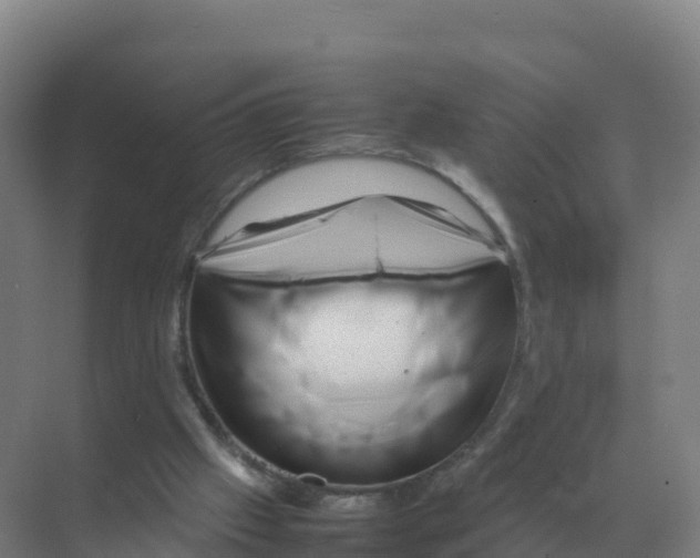 X0000070210057200606232115