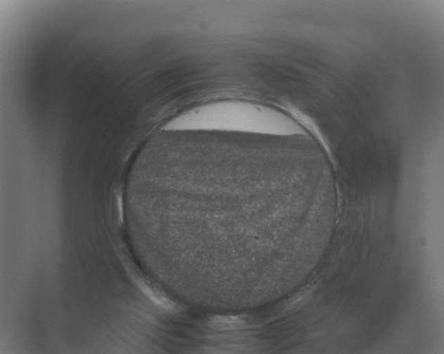 X0000070210061200606232115