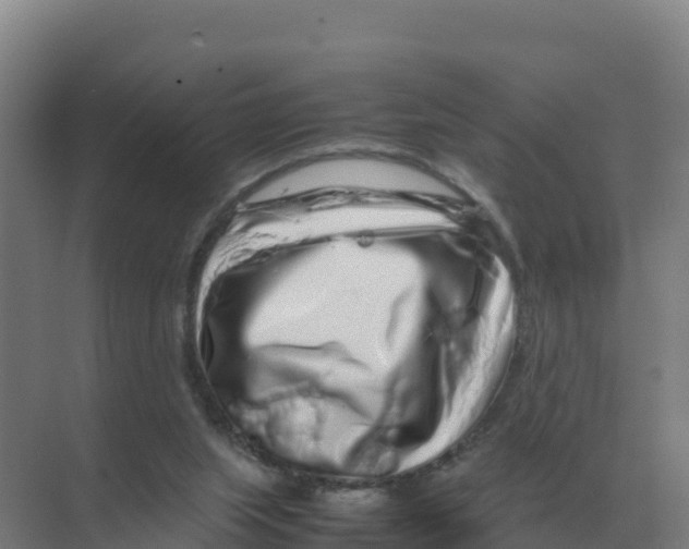 X0000070210063200606232115