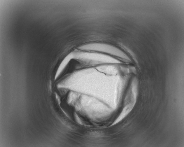 X0000070210067200606232115