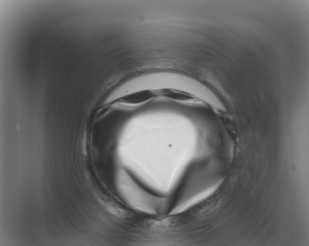 X0000070210068200606232115