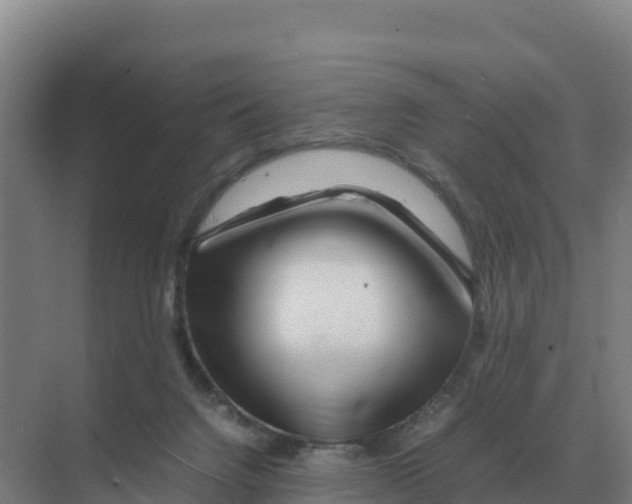 X0000070210072200606232115