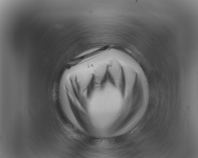 X0000070210074200606232115