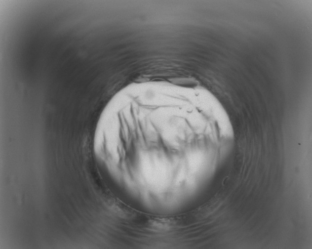X0000070210079200606232115