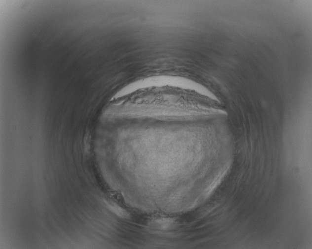X0000070210081200606232116