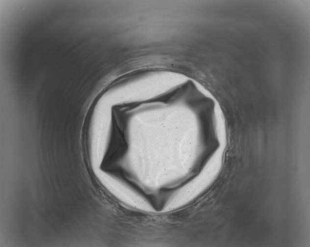 X0000070210099200606232115