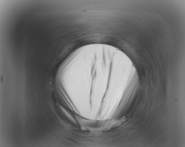 X0000070210119200606232115
