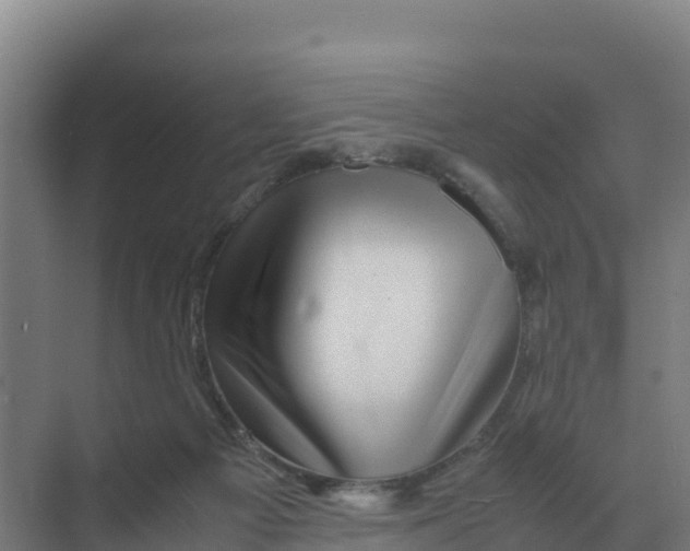 X0000070210121200606232115
