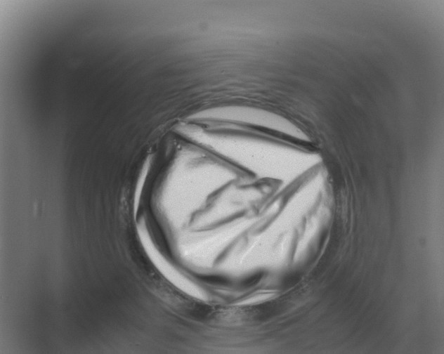 X0000070210127200606232114