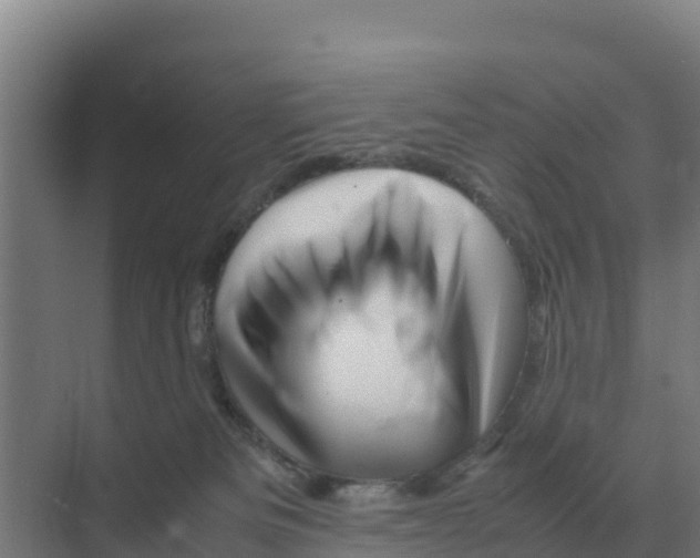 X0000070210133200606232114