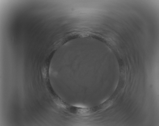 X0000070210139200606232114