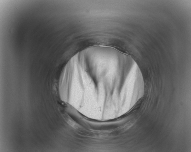 X0000070210141200606232114