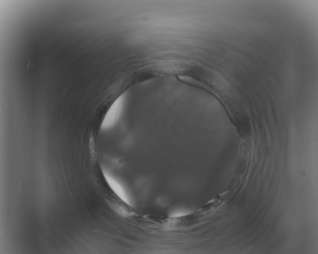 X0000070210143200606232114