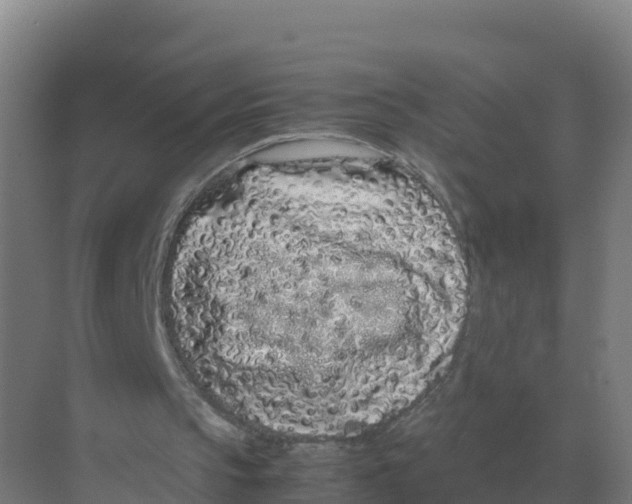 X0000070210145200606232113