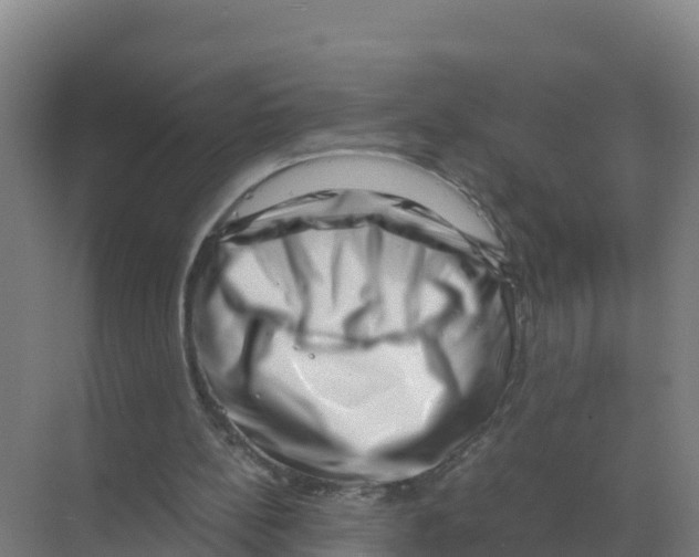 X0000070210148200606232113