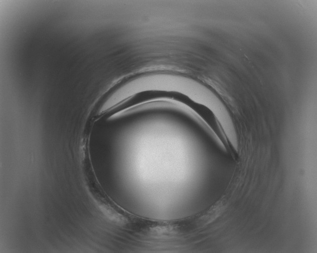 X0000070210160200606232114