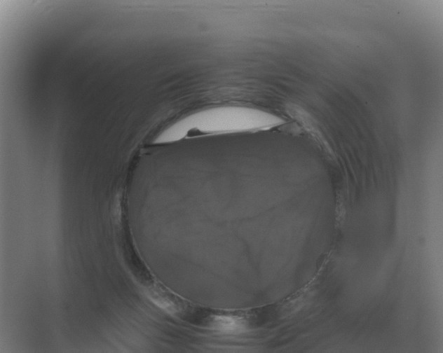 X0000070210167200606232114