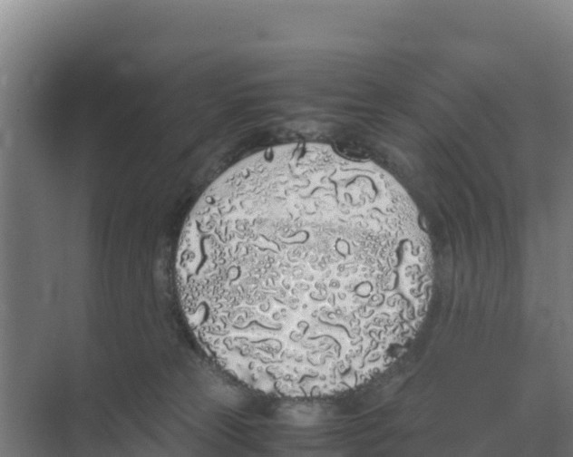 X0000070210181200606232114