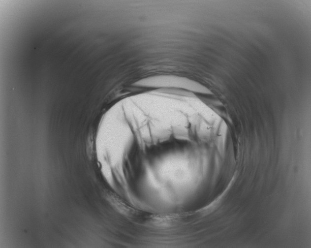 X0000070210190200606232114