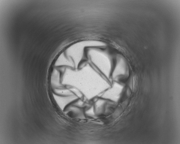 X0000070210195200606232113