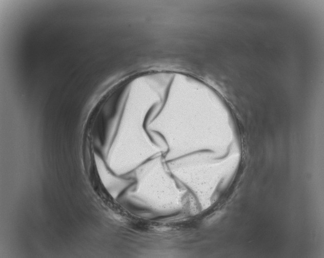 X0000070210199200606232113