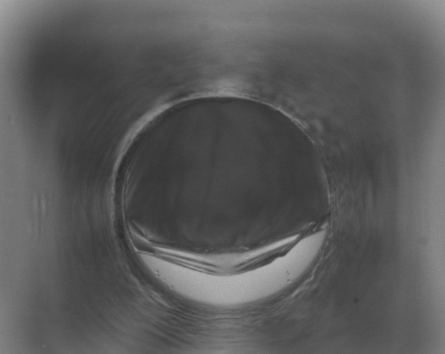 X0000070210200200606232113