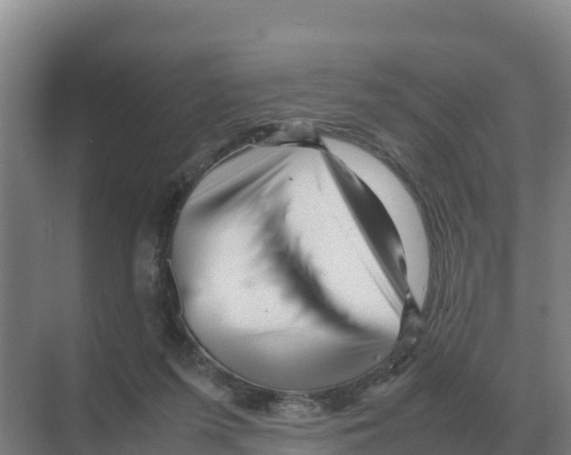 X0000070210215200606232113