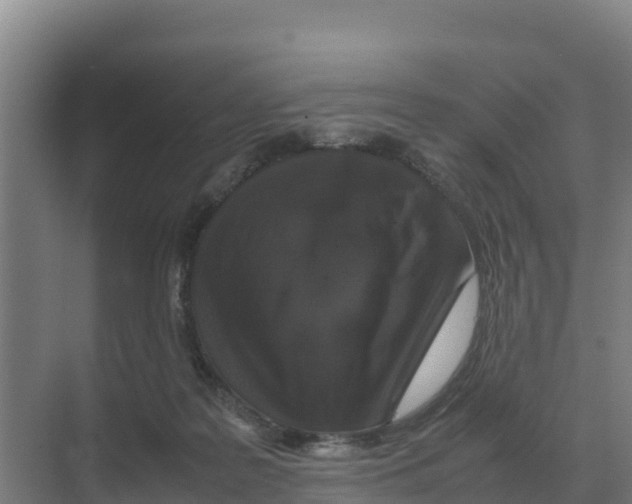 X0000070210219200606232113