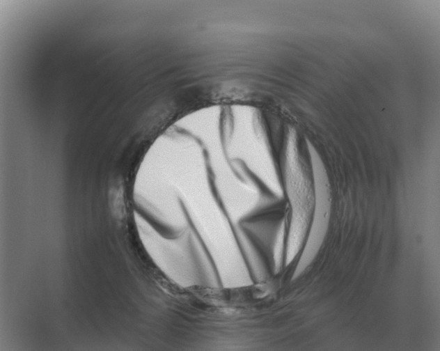X0000070210224200606232113