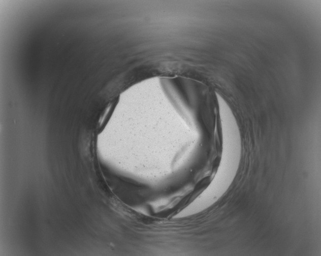 X0000070210233200606232113