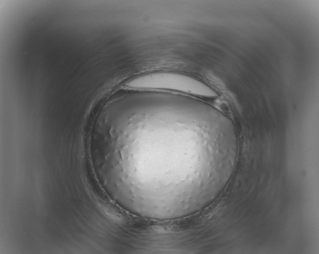 X0000070210250200606232112